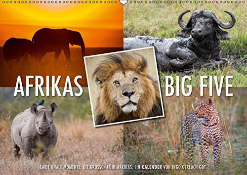 Emotionale Momente: Afrikas Big Five (Wandkalender 2019 DIN A2 quer): Der Traum eines jeden Safaritouristen ist es die Big Five, also Elefant, ... (Monatskalender, 14 Seiten ) (CALVENDO Tiere) Leisure, Home & Garden