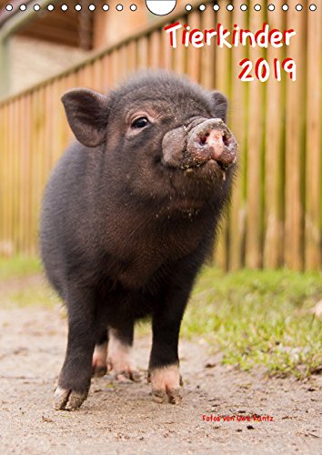 Tierkinder (Wandkalender 2019 DIN A4 hoch): Ein Kalender für alle Freunde von Tierfotos. (Monatskalender, 14 Seiten ) (CALVENDO Tiere) Natural Sciences