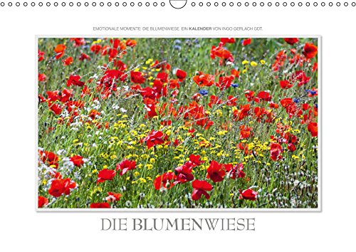 Emotionale Momente: Die Blumenwiese. / CH-Version (Wandkalender 2019 DIN A3 quer): Ingo Gerlach GDT hat auf der holländischen Insel Texel eine ... (Monatskalender, 14 Seiten ) (CALVENDO Natur) Leisure, Home & Garden