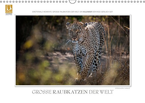 Emotionale Momente: Große Raubkatzen der Welt.CH-Version (Wandkalender 2019 DIN A3 quer): Ob Tiger, Leopard oder Löwe - die große Raubkatzen der Welt ... (Monatskalender, 14 Seiten ) (CALVENDO Tiere) Leisure, Home & Garden