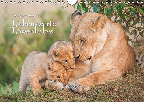 Emotionale Momente: Liebenswerte Löwenbabys / CH-Version (Wandkalender 2019 DIN A4 quer): Die Kinder vom König des Löwen (Monatskalender, 14 Seiten ) (CALVENDO Tiere) Photography