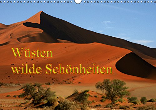 Wüsten, wilde Schönheiten (Wandkalender 2019 DIN A3 quer): Wüsten, wilde Schönheiten, Dünen, Tal des Todes (Monatskalender, 14 Seiten ) (CALVENDO Natur) Contemporary literature Books