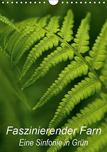 Faszinierender Farn - Eine Sinfonie in Grün (Wandkalender 2019 DIN A4 hoch): Details von Farnpflanzen kunstvoll in Szene gesetzt (Monatskalender, 14 Seiten ) (CALVENDO Natur) Leisure, Home & Garden