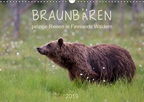 Braunbären - pelzige Riesen in Finnlands Wäldern (Wandkalender 2019 DIN A3 quer): Einblicke in das Lebens eines der grössten Säugetiere Europas (Monatskalender, 14 Seiten ) (CALVENDO Tiere) Contemporary literature