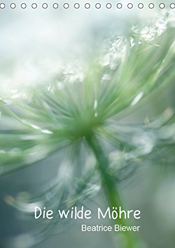 Die wilde Möhre (Tischkalender 2019 DIN A5 hoch): Die wilde Möhre, eine schöne Feld- und Wiesenblume (Monatskalender, 14 Seiten ) (CALVENDO Natur) Film, Art & Culture