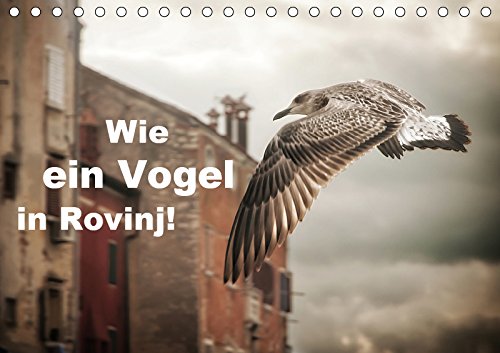 Wie ein Vogel in Rovinj! (Tischkalender 2019 DIN A5 quer): Vögel rocken die Stadt Rovinj in Kroatien! (Monatskalender, 14 Seiten ) (CALVENDO Orte) Leisure, Home & Garden
