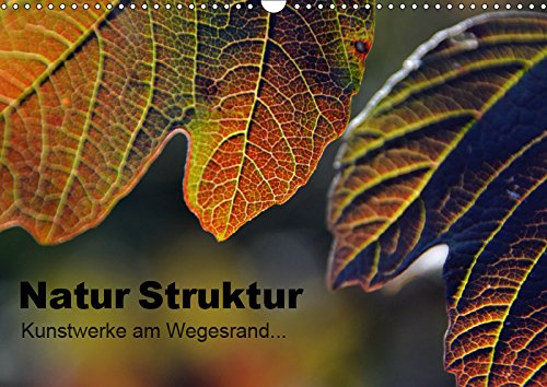 Natur Struktur - Kunstwerke am Wegesrand... (Wandkalender 2019 DIN A3 quer): Strukturen der Natur als Kunstwerk (Monatskalender, 14 Seiten ) (CALVENDO Natur) Leisure, Home & Garden