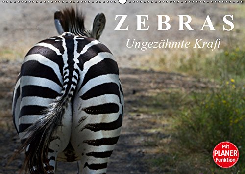 Zebras - Ungezähmte Kraft (Wandkalender 2019 DIN A2 quer): Die gestreiften Wildpferde Afrikas (Geburtstagskalender, 14 Seiten ) (CALVENDO Tiere) Contemporary literature