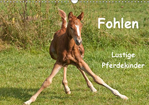 Fohlen - Lustige Pferdekinder (Wandkalender 2019 DIN A3 quer): Wundervolle Momentaufnahmen von Pferdekindern die zum schmunzeln einladen (Monatskalender, 14 Seiten ) (CALVENDO Tiere) Photography