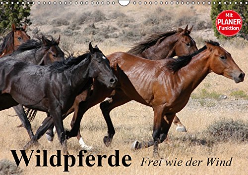 Wildpferde. Frei wie der Wind (Wandkalender 2019 DIN A3 quer): Die grenzenlose Freiheit der Wildpferde in Amerika (Geburtstagskalender, 14 Seiten ) (CALVENDO Tiere) Contemporary literature