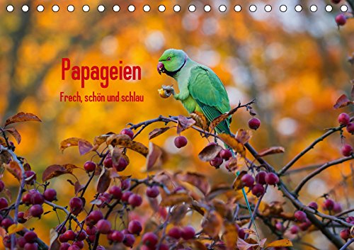 Papageien - Frech, schön und schlau (Tischkalender 2019 DIN A5 quer): Wunderschöne Papageien in ihrem natürlichen Umfeld. (Monatskalender, 14 Seiten ) (CALVENDO Tiere) Leisure, Home & Garden