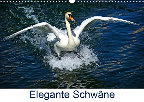 Elegante Schwäne (Wandkalender 2019 DIN A3 quer): Der Höckerschwan - Cygnus olor (Monatskalender, 14 Seiten ) (CALVENDO Tiere) Film, Art & Culture