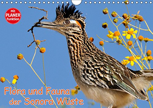Flora und Fauna der Sonora Wüste (Wandkalender 2019 DIN A4 quer): Einzigartige Landschaften mit seltenen Kakteen- und Tierarten, die den klimatischen ... 14 Seiten (CALVENDO Natur) Leisure, Home & Garden