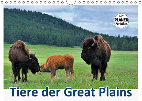 Tiere der Great Plains (Wandkalender 2019 DIN A4 quer): Beeindruckende Artenvielfalt in den Weiten der Prärien, Halbwüsten und Grasflächen ... 14 Seiten ) (CALVENDO Tiere) Leisure, Home & Garden