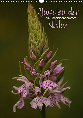 Juwelen der Natur - Ein Orchideensommer (Wandkalender 2019 DIN A3 hoch): Hochwertiger Fotokalender mit Motiven einheimischer Orchideen (Monatskalender, 14 Seiten ) (CALVENDO Natur) Contemporary literature Books