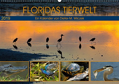 FLORIDAS TIERWELT (Wandkalender 2019 DIN A2 quer): Floridas faszinierende Tierwelt ist so abwechslungsreich und vielfältig wie der Sunshine State selbst (Monatskalender, 14 Seiten ) (CALVENDO Tiere) Leisure, Home & Garden