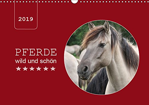 Pferde wild und schön (Wandkalender 2019 DIN A3 quer): Ein Wildpferde - Allerlei … (Monatskalender, 14 Seiten ) (CALVENDO Tiere) Film, Art & Culture