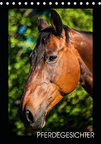 Pferdegesichter (Tischkalender 2019 DIN A5 hoch): Ausdruckstarke Mimik unseres größten Freundes, dem Pferd (Monatskalender, 14 Seiten ) (CALVENDO Tiere) Photography