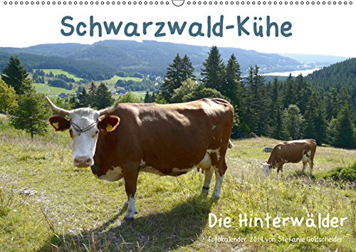 Schwarzwald-Kühe - Die Hinterwälder (Wandkalender 2019 DIN A2 quer): Der Schwarzwald wurde durch Hinterwälder Kühe mitgeprägt. (Monatskalender, 14 Seiten ) (CALVENDO Tiere) Leisure, Home & Garden