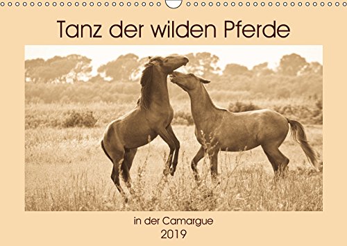 Tanz der wilden Pferde in der Camargue (Wandkalender 2019 DIN A3 quer): Zauberhafte Momentaufnahmen verspielter Pferde (Monatskalender, 14 Seiten ) (CALVENDO Tiere) Pets