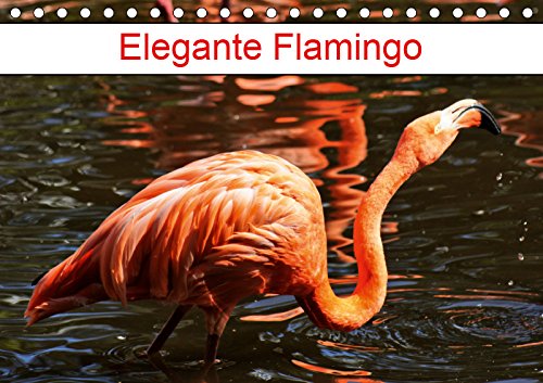 Elegante Flamingo (Tischkalender 2019 DIN A5 quer): Rosarote Wasservögel (Geburtstagskalender, 14 Seiten ) (CALVENDO Tiere) Business, Finance & Career