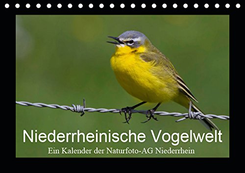 Niederrheinische Vogelwelt (Tischkalender 2019 DIN A5 quer): Große und kleine Vögel am Niederrhein (Monatskalender, 14 Seiten ) (CALVENDO Tiere) Natural Sciences