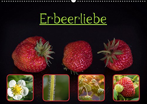 Erbeerliebe (Wandkalender 2019 DIN A2 quer): Bilder aus dem Erdbeergarten (Monatskalender, 14 Seiten ) (CALVENDO Lifestyle) Leisure, Home & Garden