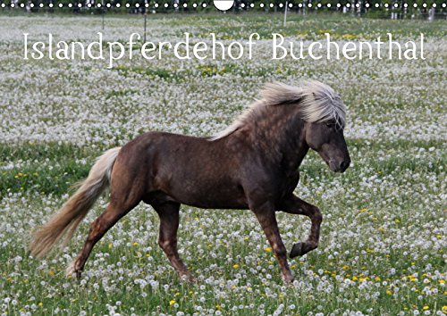 Islandpferdehof Buchenthal (Wandkalender 2019 DIN A3 quer): Isländer sind so vielfältig wie ihre Heimat. (Monatskalender, 14 Seiten ) (CALVENDO Tiere) Pets