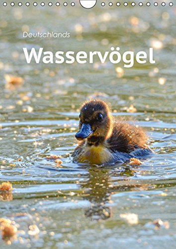 Deutschlands Wasservögel (Wandkalender 2019 DIN A4 hoch): Ente, Gans, Möwe, Schwan & Co. in deutschen Gewässern (Planer, 14 Seiten ) (CALVENDO Tiere) Leisure, Home & Garden