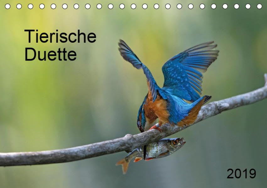 Tierische Duette (Tischkalender 2019 DIN A5 quer): Begegnungen im Tierreich lassen sich auf vielfältige Weise einfangen. (Monatskalender, 14 Seiten ) (CALVENDO Tiere) Natural Sciences