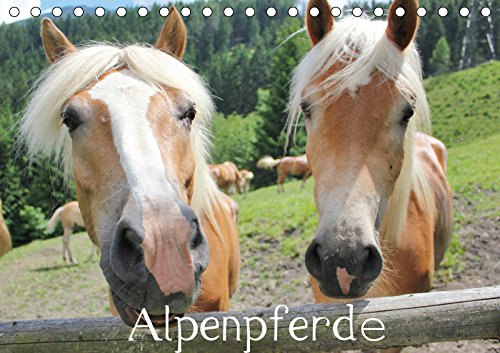 Alpenpferde (Tischkalender 2019 DIN A5 quer): Die Haflinger Pferde der Alpenregion (Monatskalender, 14 Seiten ) (CALVENDO Tiere) Film, Art & Culture