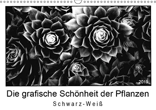 Die grafische Schönheit der Pflanzen - Schwarz-Weiß (Wandkalender 2019 DIN A3 quer): 13 eindrucksvolle Naturaufnahmen in Schwarzweiß (Monatskalender, 14 Seiten ) (CALVENDO Orte) Contemporary literature Books