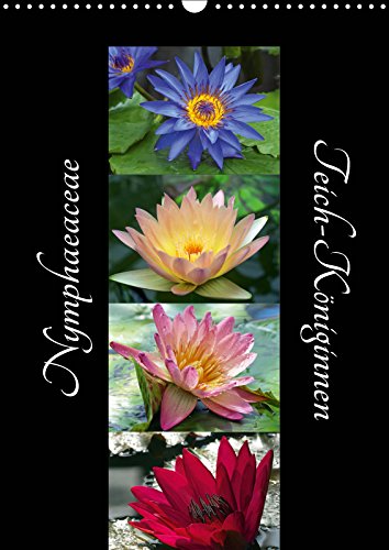 Nymphaeaceae - Teich-Königinnen (Wandkalender 2019 DIN A3 hoch): Eindrucksvolle Seerosenblüten, die Königinnen der Teiche (Monatskalender, 14 Seiten ) (CALVENDO Natur) Leisure, Home & Garden