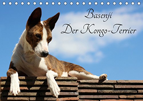 Basenji, der Kongo-Terrier (Tischkalender 2019 DIN A5 quer): Der Basenji ist eine aus Zentralafrika stammende Hunderasse (Geburtstagskalender, 14 Seiten ) (CALVENDO Tiere) Natural Sciences