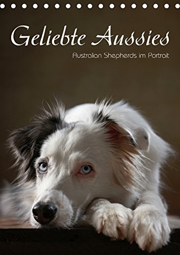 Geliebte Aussies - Australian Shepherds im Portrait (Tischkalender 2019 DIN A5 hoch): Australian Shepherds im Studio portraitiert (Monatskalender, 14 Seiten ) (CALVENDO Tiere) Pets