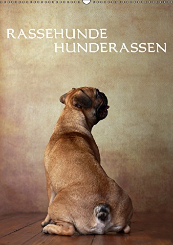 Rassehunde - Hunderassen (Wandkalender 2019 DIN A2 hoch): Rassehunde im Portrait (Monatskalender, 14 Seiten ) (CALVENDO Tiere) Pets