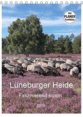 Lüneburger Heide - Faszinierend schön (Tischkalender 2019 DIN A5 hoch): Der Naturpark lädt mit seinen schönen Heideflächen zum Wandern, Radfahren und ... (Familienplaner, 14 Seiten ) (CALVENDO Orte) Contemporary literature Books