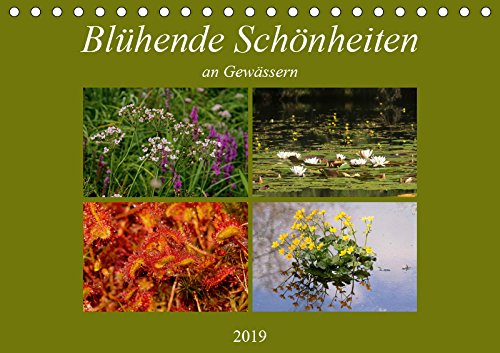Blühende Schönheiten an Gewässern (Tischkalender 2019 DIN A5 quer): Seltene Wasserpflanzen (Monatskalender, 14 Seiten ) (CALVENDO Natur) Leisure, Home & Garden