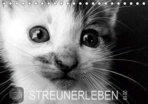 STREUNERLEBEN (Tischkalender 2019 DIN A5 quer): Auszüge einer Fotoreportage über ein freilebendes Katzenrudel. (Monatskalender, 14 Seiten ) (CALVENDO Tiere) Film, Art & Culture
