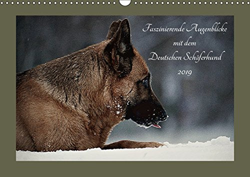 Faszinierende Augenblicke mit dem Deutschen Schäferhund (Wandkalender 2019 DIN A3 quer): Noch immer verzaubert der Deutsche Schäferhund den Menschen ... (Monatskalender, 14 Seiten ) (CALVENDO Tiere) Medicine