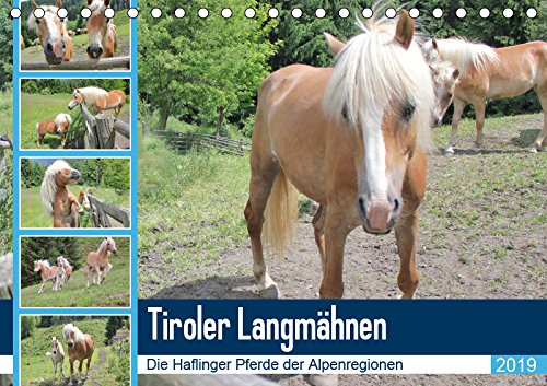 Tiroler LangmähnenAT-Version (Tischkalender 2019 DIN A5 quer): Haflinger - die Pferde der Alpen (Monatskalender, 14 Seiten ) (CALVENDO Tiere) Leisure, Home & Garden