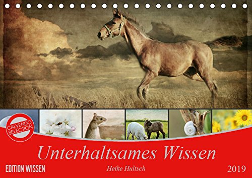 Unterhaltsames Wissen (Tischkalender 2019 DIN A5 quer): Wussten Sie, dass ...? (Monatskalender, 14 Seiten ) (CALVENDO Wissen) Contemporary literature