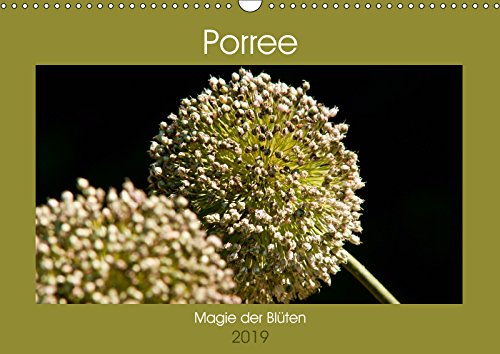 Porree - Magie der Blüten (Wandkalender 2019 DIN A3 quer): Wundervolle Detailaufnahmen des Lauchs (Monatskalender, 14 Seiten ) (CALVENDO Natur) Leisure, Home & Garden