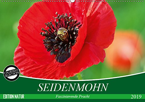 Seidenmohn Faszinierende Pracht (Wandkalender 2019 DIN A2 quer): Anmutig zerknitterte Blumengesichter (Monatskalender, 14 Seiten ) (CALVENDO Natur) Leisure, Home & Garden