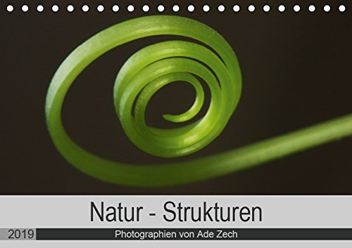 Natur - Strukturen (Tischkalender 2019 DIN A5 quer): Strukturen und Formen, eine ganz besondere Welt der Natur (Monatskalender, 14 Seiten ) (CALVENDO Natur) Film, Art & Culture