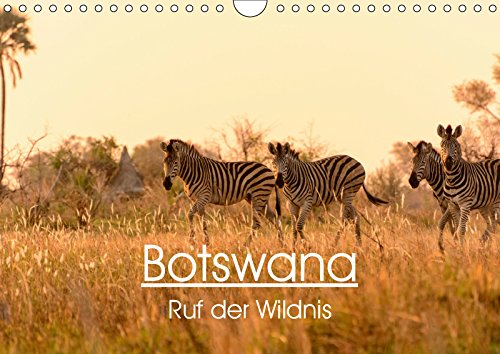 Botswana - Ruf der Wildnis (Wandkalender 2019 DIN A4 quer): EInblick in Botswanas Tierwelt (Monatskalender, 14 Seiten ) (CALVENDO Natur) Leisure, Home & Garden