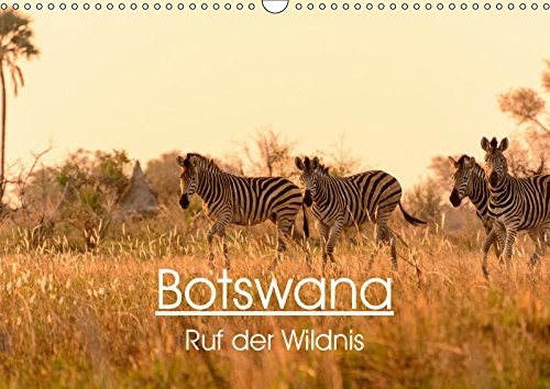 Botswana - Ruf der Wildnis (Wandkalender 2019 DIN A3 quer): EInblick in Botswanas Tierwelt (Monatskalender, 14 Seiten ) (CALVENDO Natur) Leisure, Home & Garden