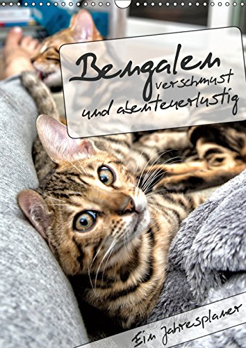 Bengalen - verschmust und abenteuerlustig (Wandkalender 2019 DIN A3 hoch): Ein Jahresplaner mit zwei abenteuerlustigen und verschmusten Bengalen (Planer, 14 Seiten ) (CALVENDO Tiere) Contemporary literature