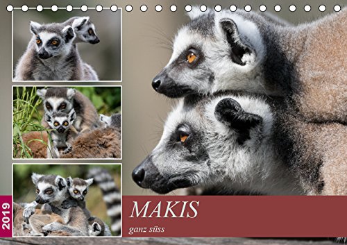 Makis ganz süss (Tischkalender 2019 DIN A5 quer): Portraits der endemischen Lemuren von Madagaskar, den Kattas oder Makis (Monatskalender, 14 Seiten ) (CALVENDO Tiere) Contemporary literature