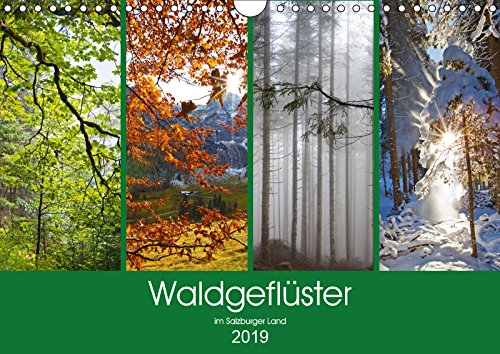 Waldgeflüster im Salzburger Land (Wandkalender 2019 DIN A4 quer): Salzburger Wälder in den 4 Jahreszeiten (Monatskalender, 14 Seiten ) (CALVENDO Natur) Contemporary literature Books